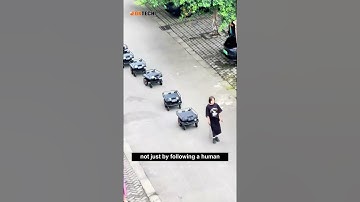 FOLO-200 Smart Following Robots Line Up and Return Home Autonomously | Heavy-Duty 100KG Payload