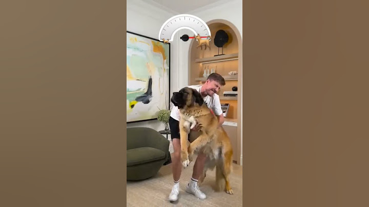 Holding bigger and bigger dogs