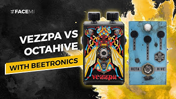 Beetronics Vezzpa vs. OctaHive | Battle of the Octave Fuzzes | Tone Teaser