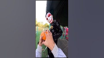 POV Parkour Beast Mode – Sliding & Flying Jumps 💨🔥#Parkour #BeastMode #POVAction#Sliding#Jumping