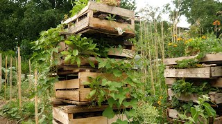 Jardin primé au concours Jardiner Autrement 2023, catégorie hors sol