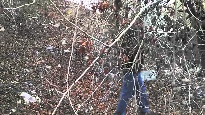 Hatchet Theme Trailer