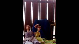 Mis Barbies Se Mueven Solas