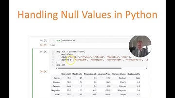 Learning Python: Handling Empty Values, None, pd.NaN