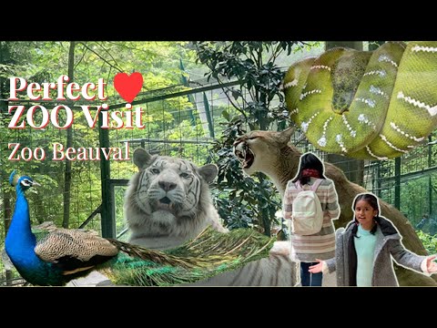 Zoo of Beauval l Complete Visit l Largest Zoo of France ??