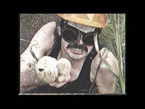 КАТАМАРАНОВ УШЕЛ ЗА ГРИБАМИ (часовая версия) Remastered