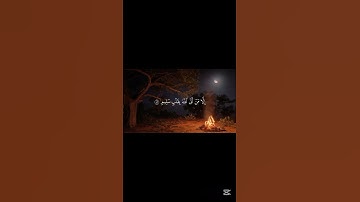 قرآن كريم بصوت جميل للقارئ ياسر الدوسري #ياسر_الدوسري #yasseraldossary #قرآن_كريم