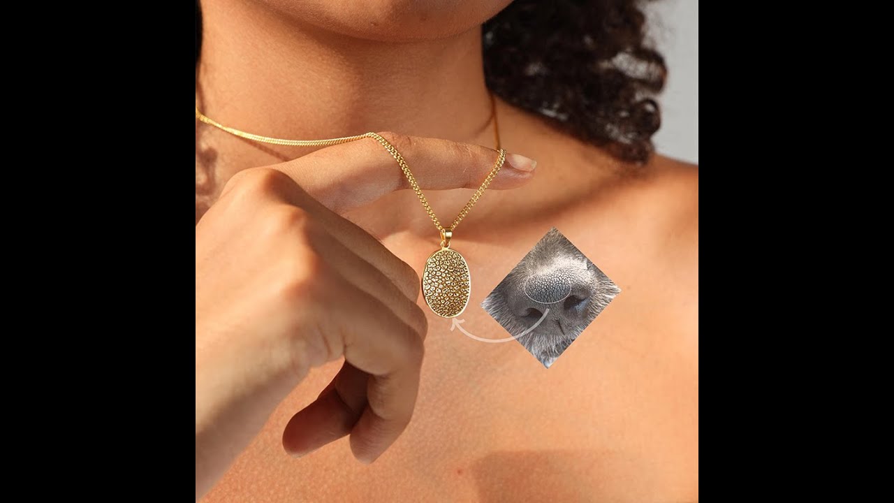 Pet Nose Print Memorial Necklace.