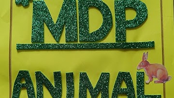 MDP- ANIMAL (FOR CLASSIII STUDENTS OF PM SHRI Kendriya vidyalaya) #kvs #project @upbrighttutorial