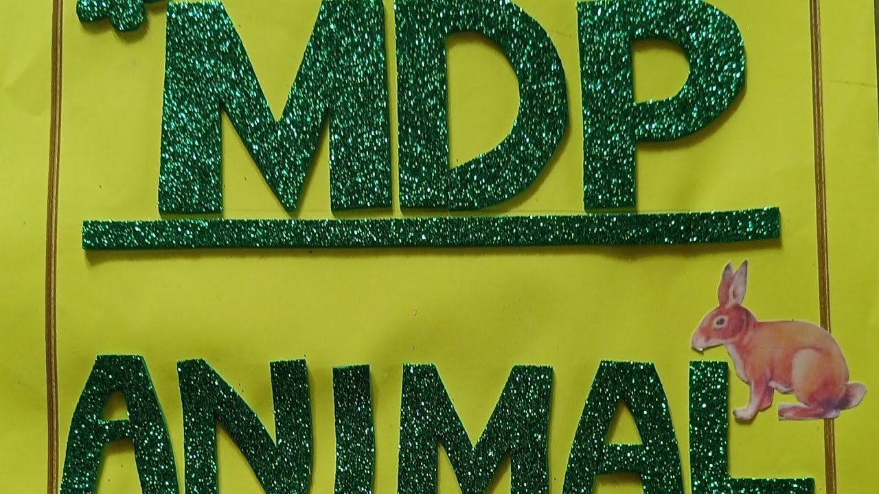 MDP- ANIMAL (FOR CLASSIII STUDENTS OF PM SHRI Kendriya vidyalaya) #kvs ...