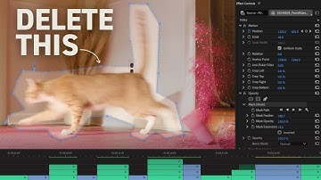 5 Easy VFX for PRO Editors (Step-By-Step Tutorial)