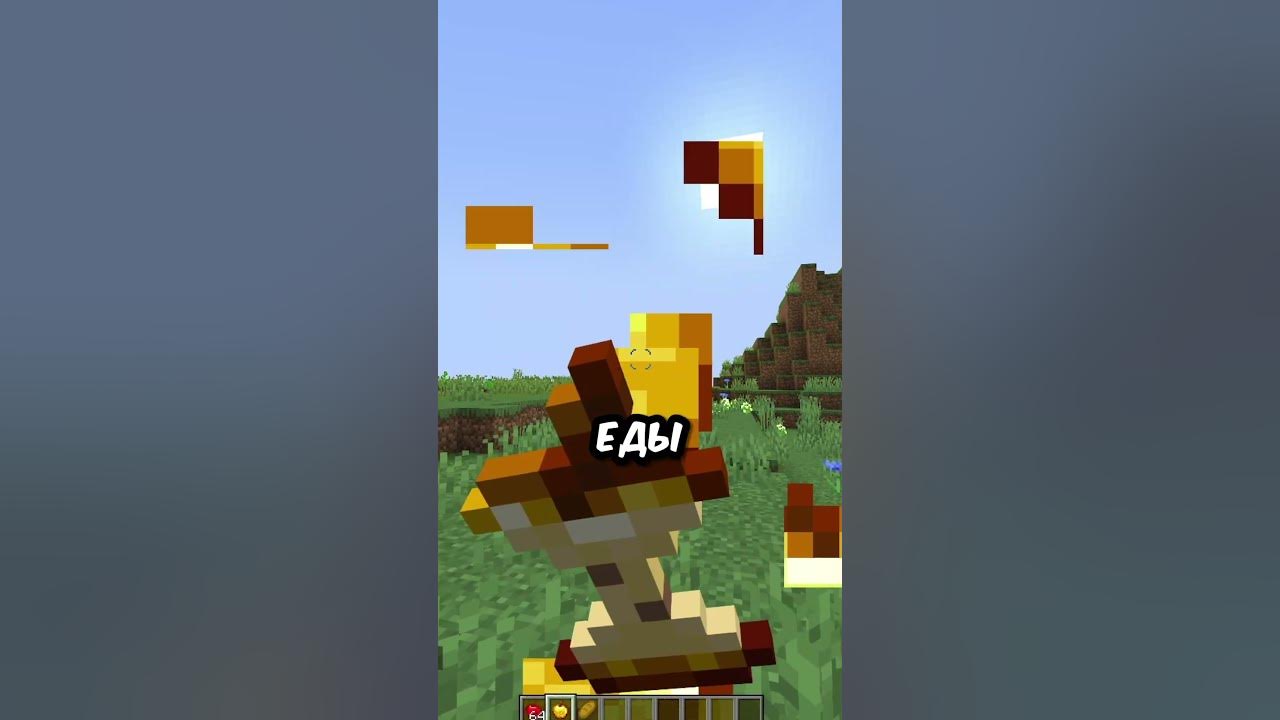 Моды для пвп 1. 1. 16 5 forge. 2. 16 5 forge.