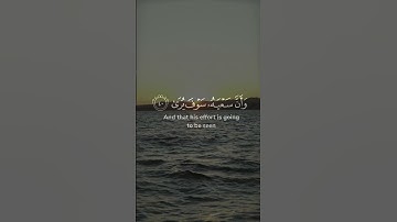 وأن ليس للإنسان إلا ما سعى وأن سعيه سوف يرى ثم يجزاه الجزاء الأوفى | المنشاوي من سورة النجم