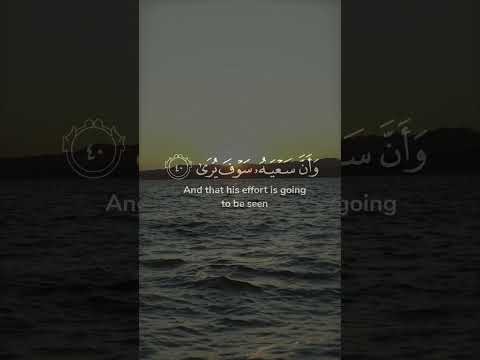 وأن ليس للإنسان إلا ما سعى وأن سعيه سوف يرى ثم يجزاه الجزاء الأوفى المنشاوي من سورة النجم