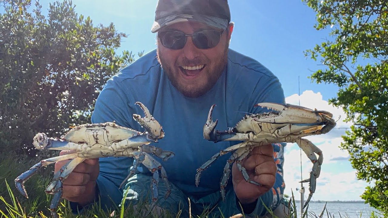 Giant Florida Crabs Catch and Cook! 