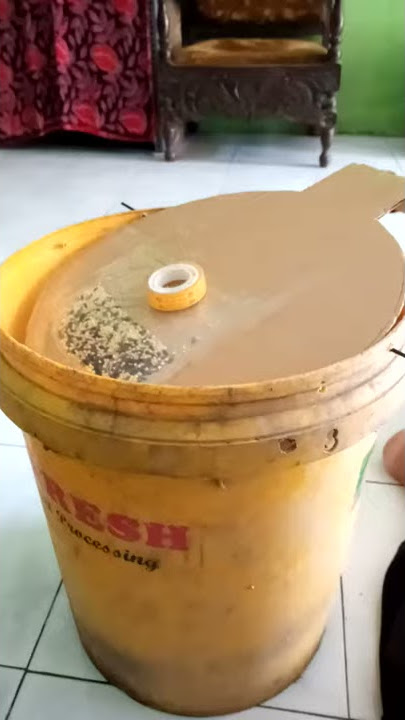 mencoba bikin jebakan tikus