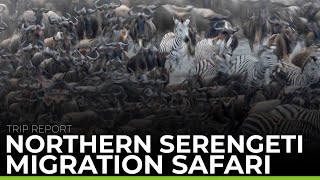 Northern Serengeti Migration | TRIP REPORT