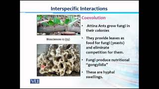 BT101-Ecology,biodiversity and evolution-1 lesson 25 ,26 and 27 on vulms #2022