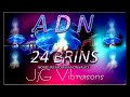 12  24 brins dadn pour atteindre notre multidimensionnalit divine  extrait dun soin spirituel