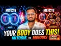 Mitosis and Meiosis Made EASY 🧠 | Class 10 Biology | Animated Explanation