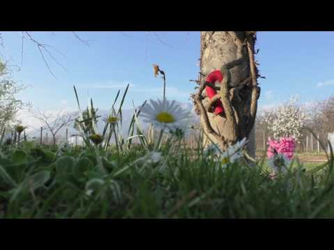 Aniello Luciano - Quello che c'è prima (*attivare i sottotitoli per il testo)