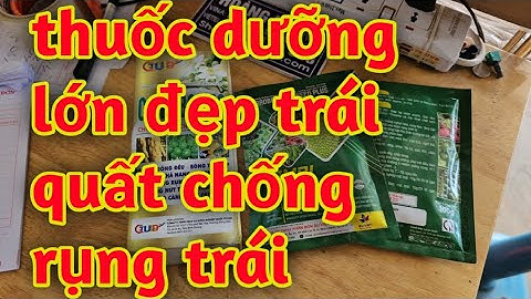 thuốc chống rụng trái quất dưỡng lớn đẹp trái cang chắc trái 023 310