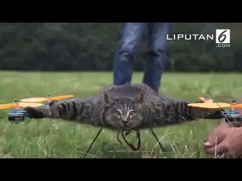 Pria Ini Bisa  Membuat Hewan  yang  Mati Bisa  Terbang  YouTube