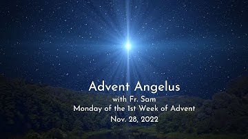 Advent Angelus: Nov. 28, 2022