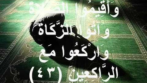 سورة البقرة من آية (30) إلى (58)