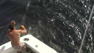 Wiring a Blue Marlin