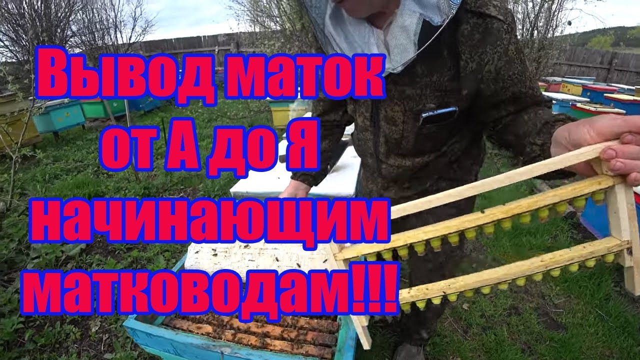 Делаем стартер для вывода маток