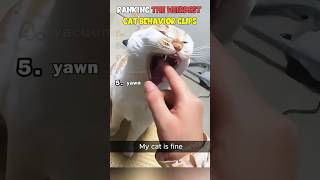 🏆 Ranking The Weirdest Cat Behavior I've Ever Seen 🙀 #shorts #cats #ranking