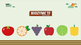 Biozyme TF - Bioestimulante natural