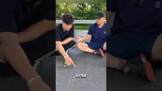 Amazing Dice Magic Trick