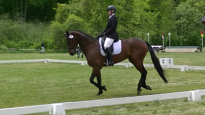 Erica Jarrell & Uni Sprite JYOP Dressage