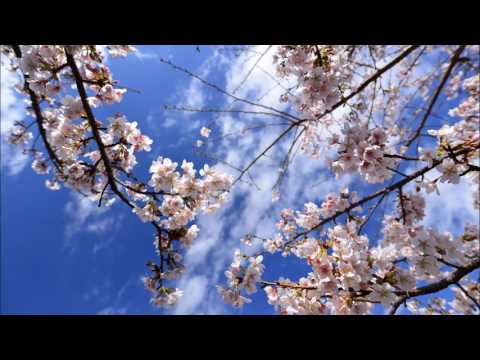 CHE.R.RY（YUI）－自作カラオケ～歌がうまけりゃ歌いたい
