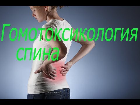 Гомотоксикология спина