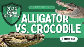 Animal Olympics: Alligator Vs. Crocodile