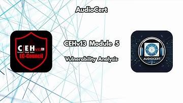 CEHv13 Module 5 - Vulnerability Analysis