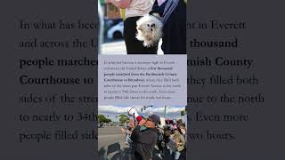 ‘No Kings’ rallies draw thousands to Everett and throughout Snohomish County  #everettherald