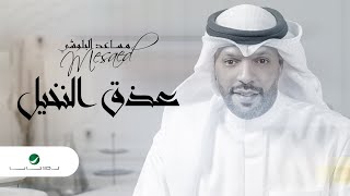 3/5 Mesaed El Baloushy ... Etheg Al Nakhel - 2022 | مساعد البلوشي ... عذق النخيل