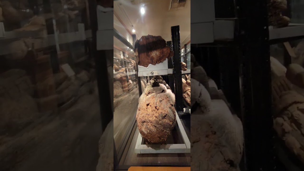 Totem Heritage Center, Ketchikan