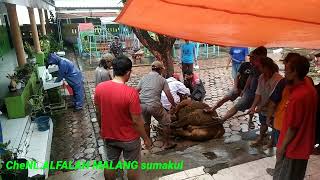 idul qurban hari ke dua di malang selatan