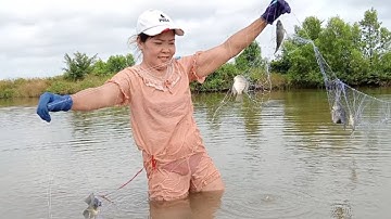Em Gái Miền Tây thăm lưới mùa nước nổi dính cá thấy ham / Watching fish @ToanMienTayVlog