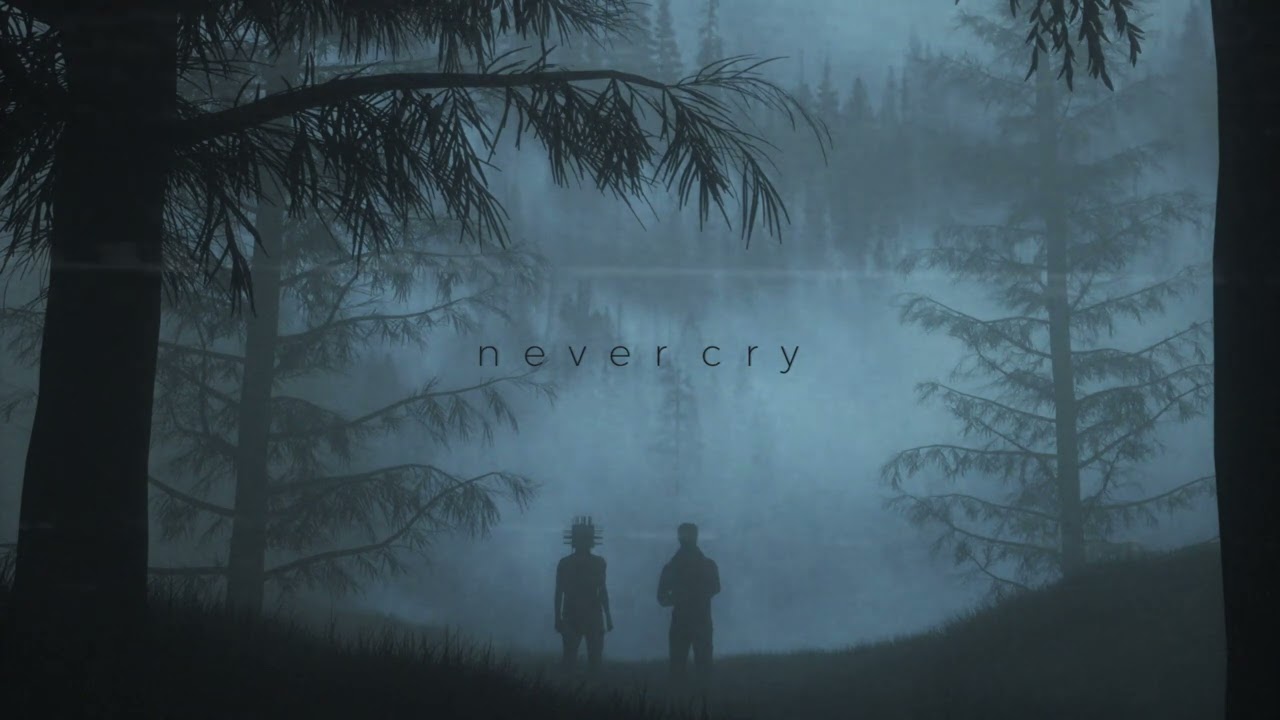 Mahlow x The Void Wanderer - Never Cry [Ambient/Drone]