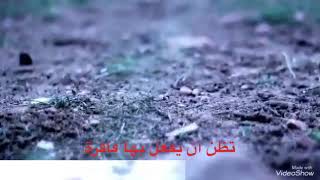 Mansur el-Salimi/Kıyamet Suresi