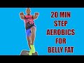 20 Minute Step Aerobics Workout for Belly Fat