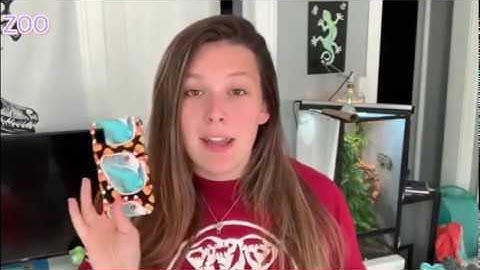 "ZOO COMPANY" ZOO KEEPER - INTERVIEW @