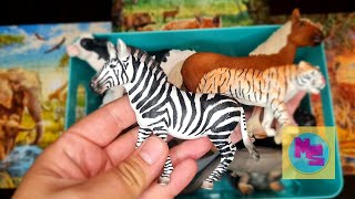 Learning for Toddlers: Learning Wild, Zoo, Sea, and Farm Animal Names with Toys