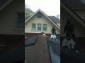 I'll be fun they said!